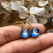 Midnight Sparrow Earrings (Anti Tarnish)